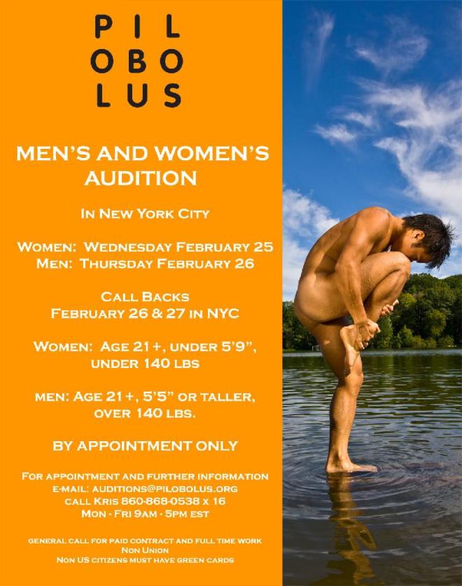 auditions announcement